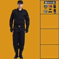 【Top+брюки+метка безопасности】