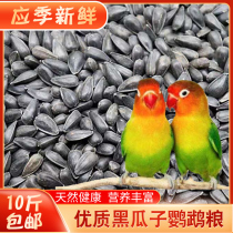 Oil sunflower Black melon seed kernels Parrot bird food Bird food Bird feed Hamster squirrel food 10 kg