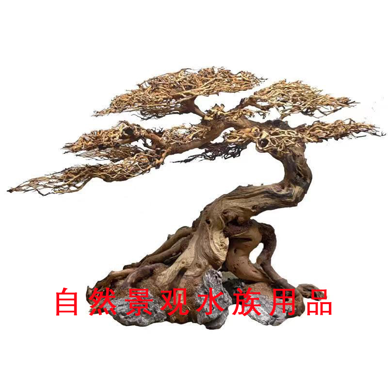 Moss Tree Welcoming Pine Brazilian Tree Tree of Life Aquarium Decoration Thai Branch Finished Landscaping Tree Moss Tree Welcoming Pine Brazilian Tree Tree of Life Aquarium Decoration Thai Branch Finished Landscaping Tree