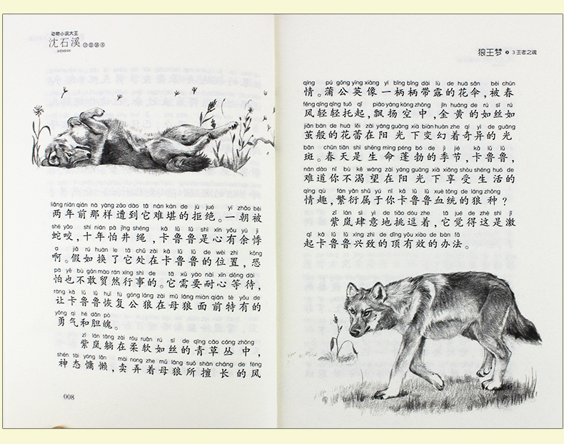 базовый китайский язык. китайская книга страницы. книги на китайском языке читать. практический курс китайского. книги на китайском языке.