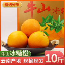 (Delivery in November)Yunnan Yuxi Huaning Panxi Niushan rock sugar orange 10 pounds of fresh fruit Chu Orange mother source