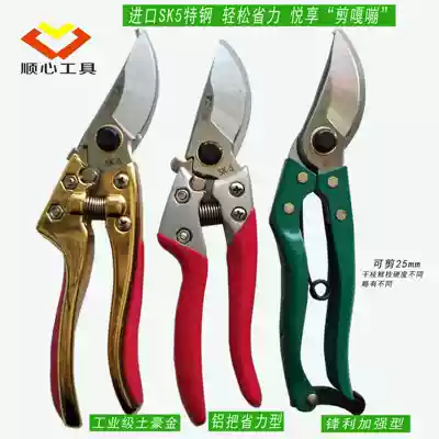 Factory sales SK5 fruit branch shears flower and tree horticultural scissors flower cutting force rough branch shears pruning shears fruit tree scissors