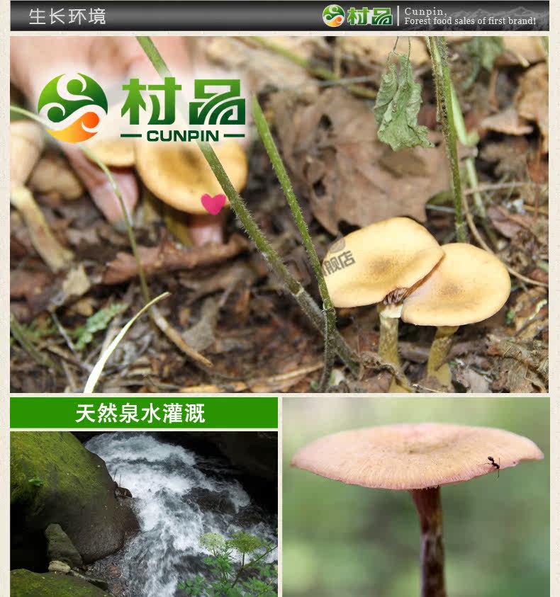 Хейзел Гриб [1] _05.jpg