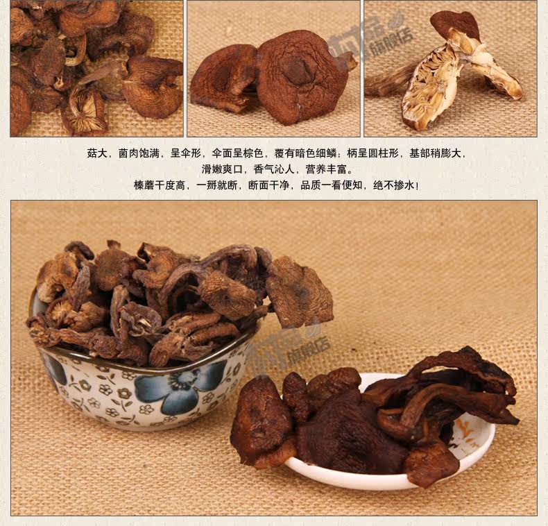 Хейзел Гриб [1] _04.jpg