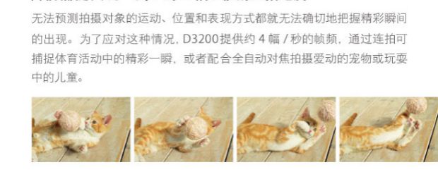 Bộ kit Nikon / Nikon D3200 (bao gồm ống kính 18-55mm) Máy ảnh kỹ thuật số SLR Bản gốc xác thực - SLR kỹ thuật số chuyên nghiệp máy ảnh canon m50