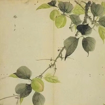 Essence · Refined by Chicao Reading Club