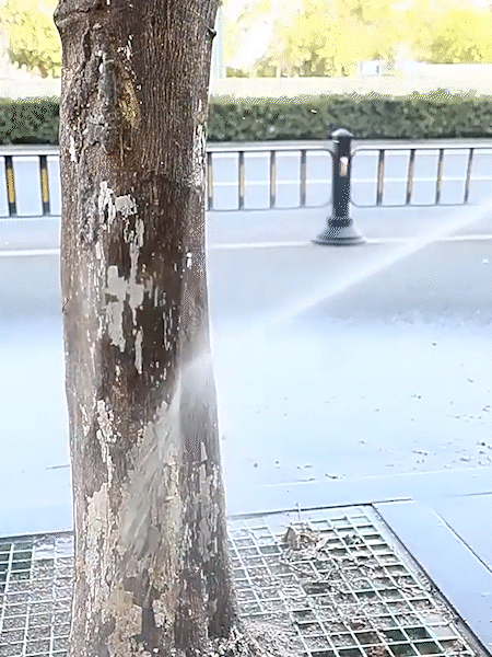 gaoyashuiqiang (8).gif