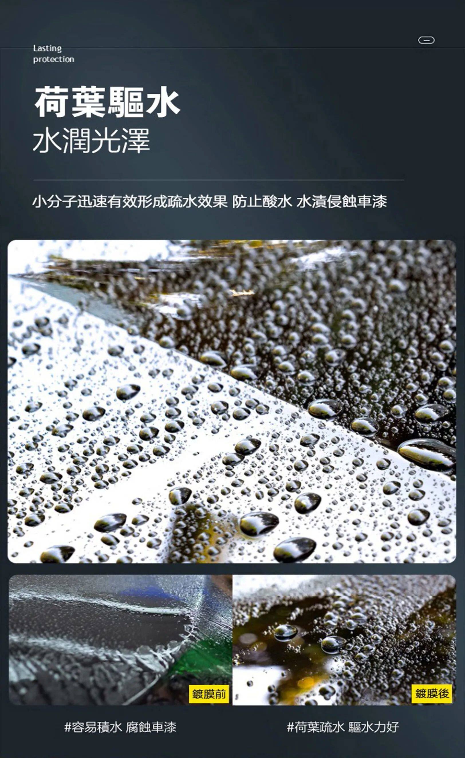 10022.jpg