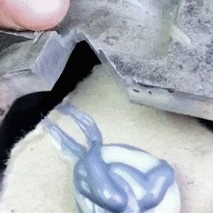 20250814_171640_010.gif