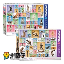 (Spot) Canada Eurographics 1000 Pieces Imported Puzzle Yoga Cat Dog Series