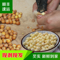 2021 Xiangsuyuan chicken head rice fresh frozen Suzhou farmers own gorgon Mitz solid hand peeling 200g