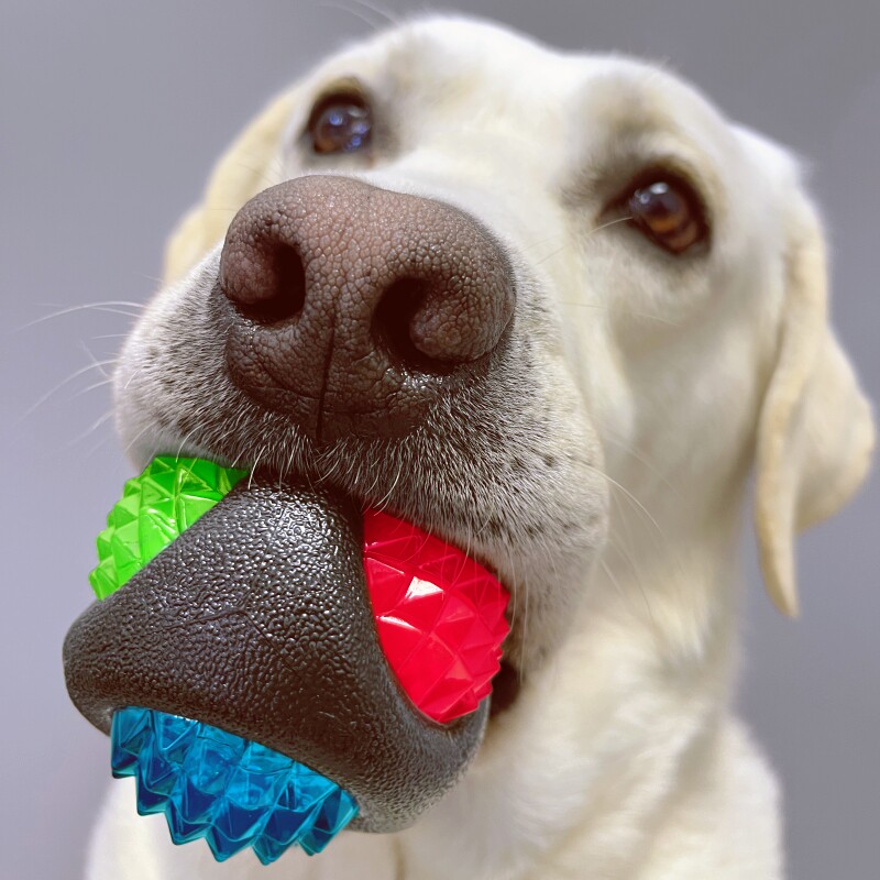 Rosewood Night Dog Grinding Tooth Bite-resistant Rubber Outdoor Flash Toy Pet Dog glowing ball