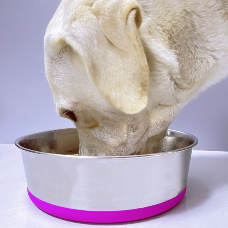 Hup Dog Bowl Water Basin Food Basin Pet Bowl Rice Bowl Water Single Bowl Water Single Bowl Large Large Dog Dog Bowl Stainless Steel Dog Basin-Taobao