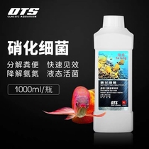 One side Halon nitrifying bacteria freshwater seawater nitrifying bacteria ornamental fish tanks with water purifying agent to digest bacteria goldfish disease