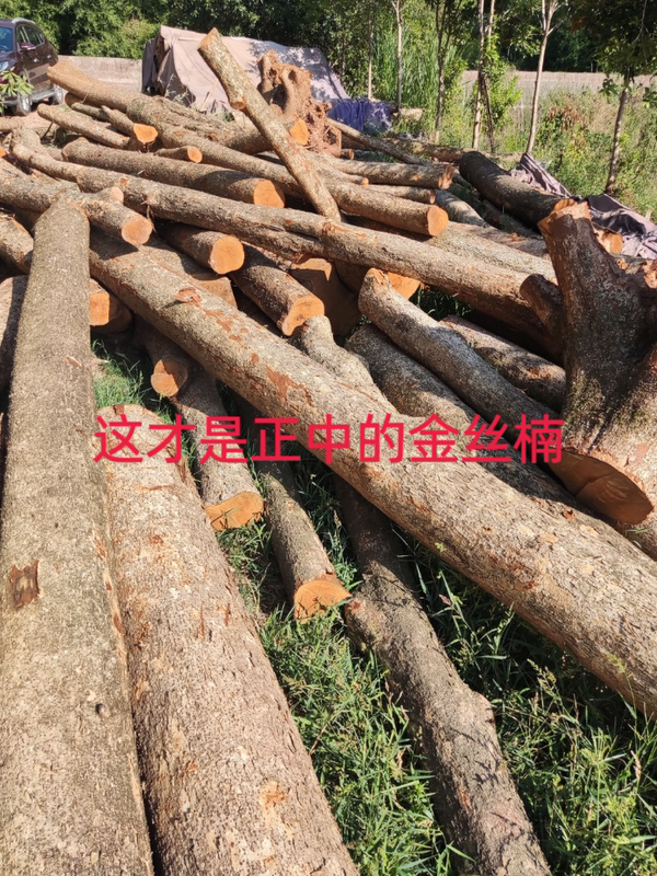 Golden Silk Nanmu Wood, Raw Wood, Handmade DIY Carving Wood, Wood for Pen Holders, Furniture, Feng Shui Pillars, and Knife Sheath Materials