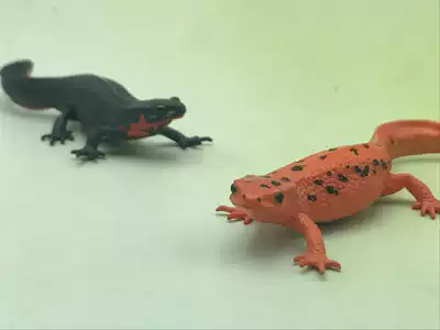 正版奇谭ikimon 大山椒鱼大倪蝾螈模型冰箱贴挂件扭蛋