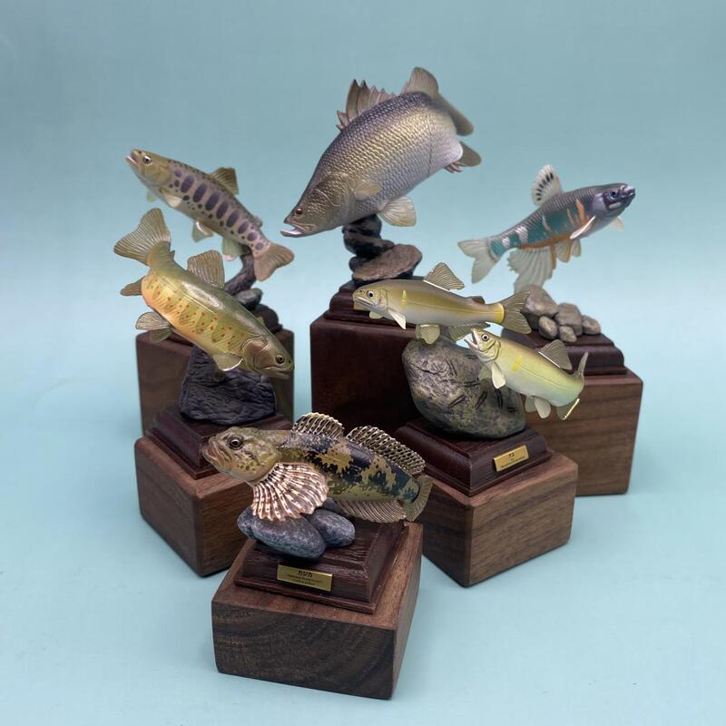 Authentic Qitan Club Ikimon Clear Stream Fish Special Edition Animal Model Figurine Gacha in Stock