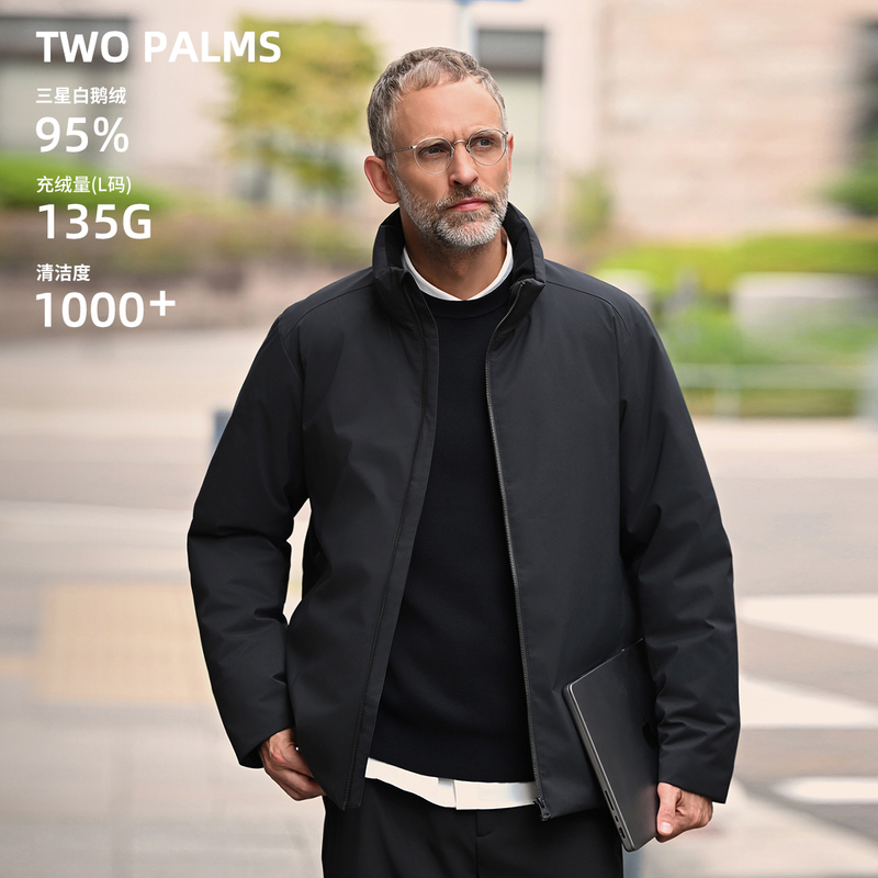 Two Palms 95 White Goose down Business Commuter Executive Style Stand Collar Thickened Men's Goose down Jacket Winter