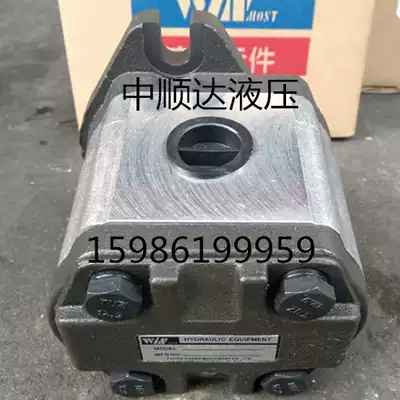 WIN Taiwan Fengchang WINMOST Hydraulic Gear pump EG-PB-8 11 12 13 14 16 19