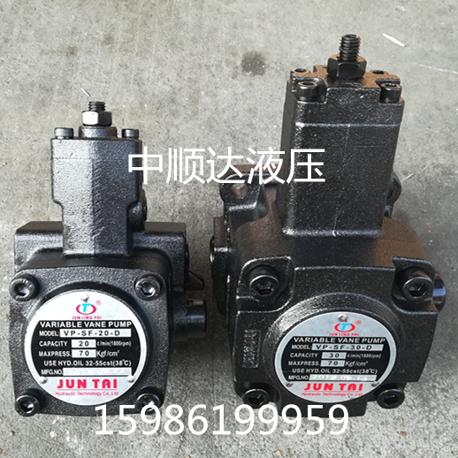 Juntai JUN TAI vane pump VP-SF-08 12 15 20 30 40-d oil pump JUN LING PAI