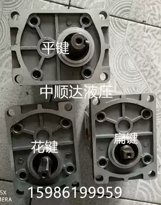 Tianjin Shunda hydraulic gear oil pump CBN-316 320 325 flat key spline flat key turn right turn left