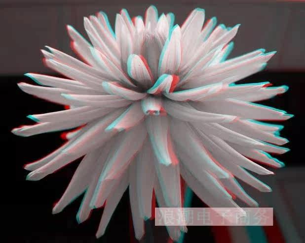 Lunettes 3D      - Ref 2621285 Image 10