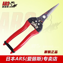 Japan Alice ARS 300L imported long mouth fruit picking fruit cutting fruit and vegetable dilute fruit picking scissors