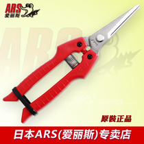 Original imported Japanese Alice ARS SE-45 thin fruit picking fruit picking scissors Grape fruit and vegetable picking scissors