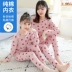 Trẻ em trung niên vải cotton cha mẹ trẻ em đồ lót trẻ em cô gái dài tay quần áo ở nhà mùa xuân và mùa thu mỏng đáy quần áo mùa thu quần dài phù hợp với Cha mẹ và con