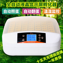  Hatching machine Automatic small household small egg incubator Duck pigeon bird egg hatching box hatching device