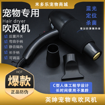 Yang Squire Pet Dog Dog CatBath Hairdryer Hairdryer Hairdryer Hair Hairdryer Blue and Dry Hairdryer