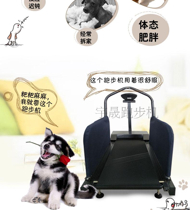JIANBU thú cưng trực tiếp chạy máy chạy bộ Teddy chiến đấu chó chạy bộ chó chạy máy đào tạo chó cung cấp chó C100 - Máy chạy bộ / thiết bị tập luyện lớn may chay bo tren khong