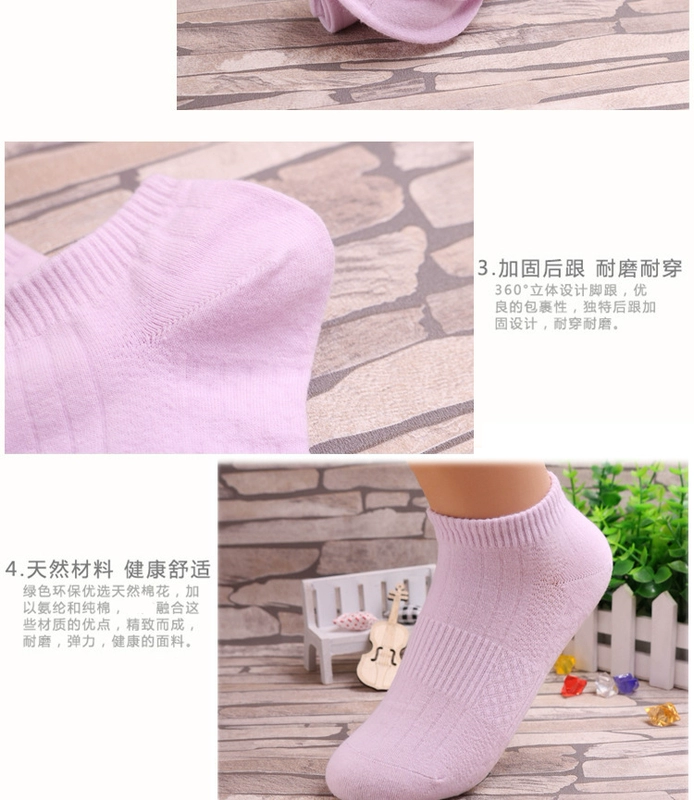 Vớ cotton cotton ngắn mùa xuân và mùa hè, miệng nông thấp giúp đôi tất khỏe mạnh quần vớ