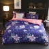 Một bông B san hô nhung bốn mảnh cotton mùa đông dày pha lê nhung flannel giường Pháp nhung chăn tấm gối kèm chăn Bộ đồ giường bốn mảnh