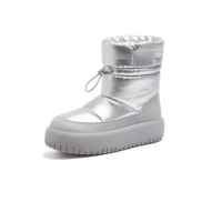 L23W577074 Silver Grey