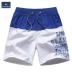 Mùa hè mới quần quần nam cotton lỏng giản dị quần short năm quần lớn quần nam nhà mùa hè quần bơi thủy triều - Quần bãi biển 	ao quần đi biển	 Quần bãi biển