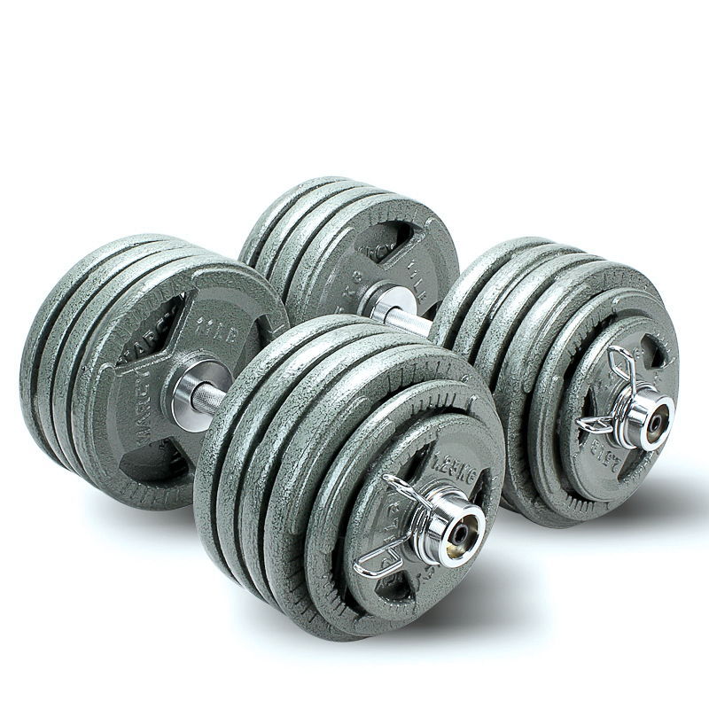 Large weight paint Olympus large hole pure iron 40 50 60 80 100KG dumbbell men's home fitness pair
