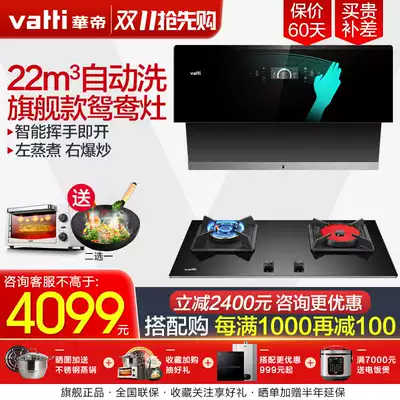 Vantage i11116 i10049B range hood gas stove set automatic cleaning