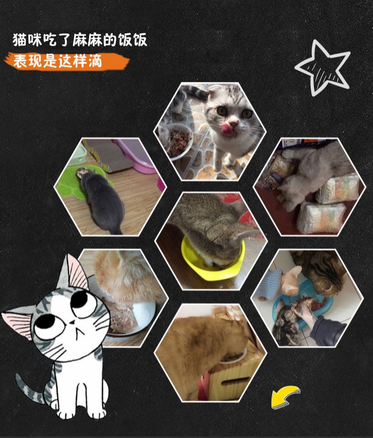 [9,9 pounds siêu hiệu quả] thức ăn cho mèo cứu hộ thực phẩm đi lạc thức ăn cho mèo thực phẩm tự nhiên viêm miệng thực phẩm đặc biệt - Cat Staples thức ăn cho mèo minino