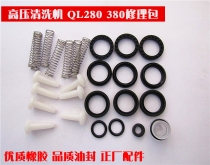 Black Cat Panda High Pressure Washer 280 380 390 Vulnerable Parts Repair Kit Car Wash Machine Parts