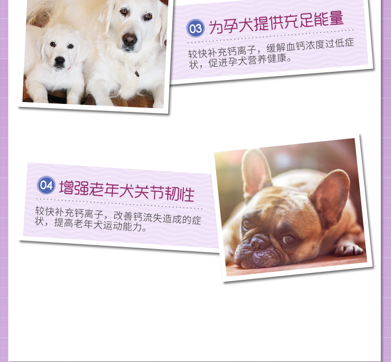 Remy chó cao chất lỏng canxi chó canxi viên canxi xương mèo mèo jinmao Thú cưng thành chó con chó lớn - Cat / Dog Health bổ sung 	sữa cho mèo con 1 tháng tuổi
