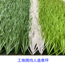 Shanghais five-man-made football plastic artificial green lawn