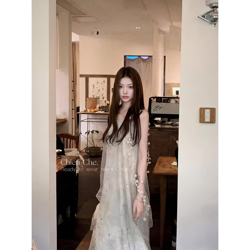 Chien Cool and Ethereal Mesh Long Dress Summer Beach Vacation Ribbon Floral Chiffon Dress for Women Chien Cool and Ethereal Mesh Long Dress Summer Beach Vacation Ribbon Floral Chiffon Dress for Women