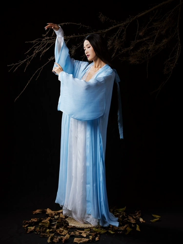 Wyz покрыл древний стиль марле джазовый танцевальный танце