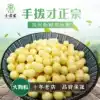  Pre-sale 2021 hand-peeled extra large] Xiaosongjia Suzhou Nantang fresh frozen gorgon chicken head rice 400g