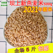 Oat rice 21 years autumn new oat wheat kernel Inner Mongolia oat rice Zhangjiakou oats cooking porridge steamed rice oats 500g