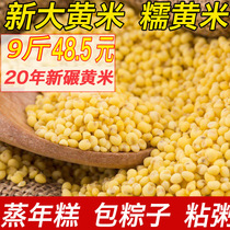 New proso millet was Dam viscosity proso millet millet yellow beige glutinous rice package zongzi yellow liang gao boil zhan zhou 9kg