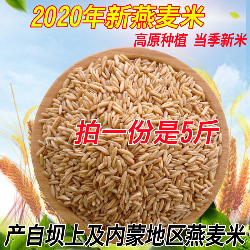 2020 autumn new oatmeal rice Dam oat kernel cooking rice porridge farm Inner Mongolia oatmeal naked oatmeal 5 pounds