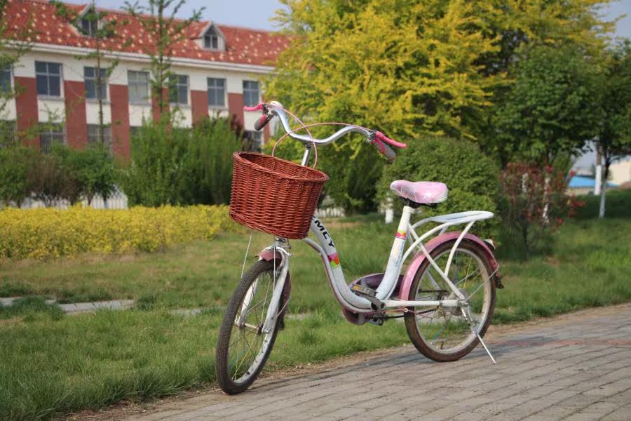 Panier pour vélo en vigne - Ref 2257871 Image 20