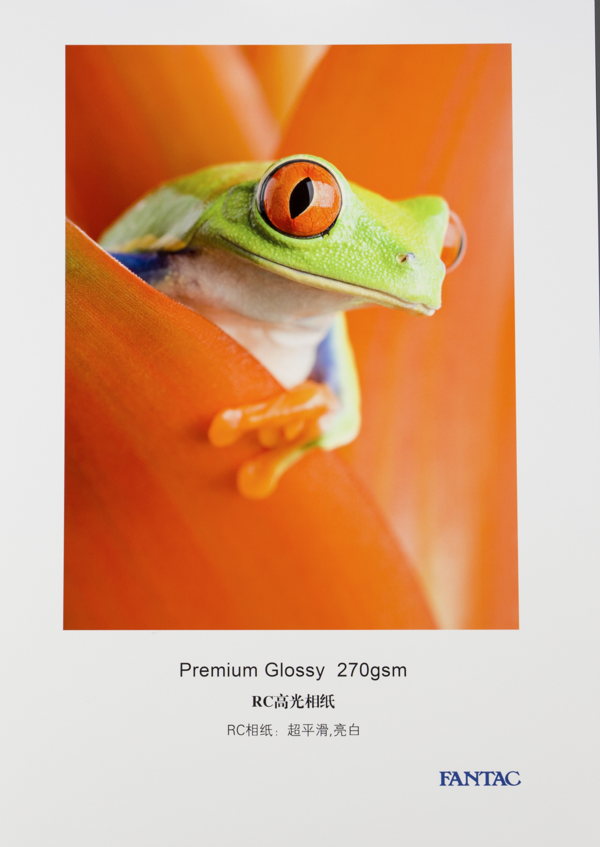 Fantasc pan-too-gram 270 gr RC high light phase paper 30M volume inkjet printing ultra smooth bright white